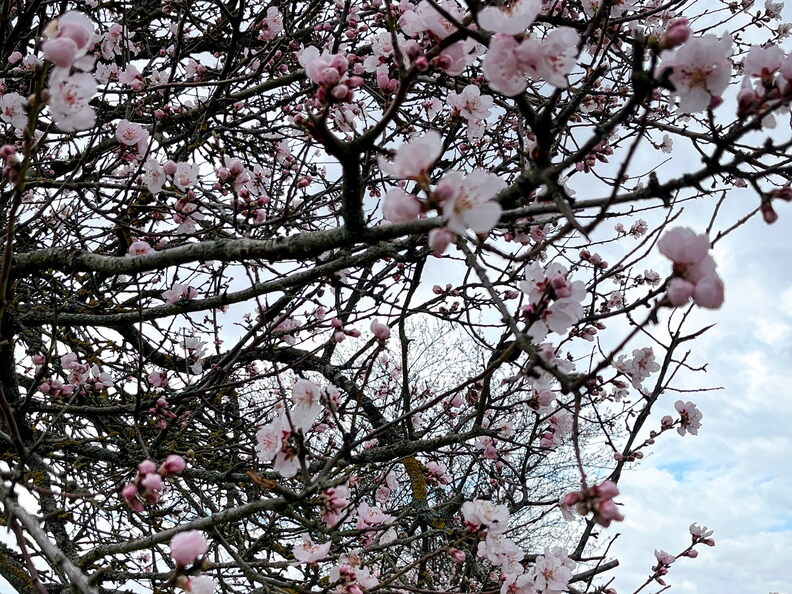 23-03-13 10-49-39 4826